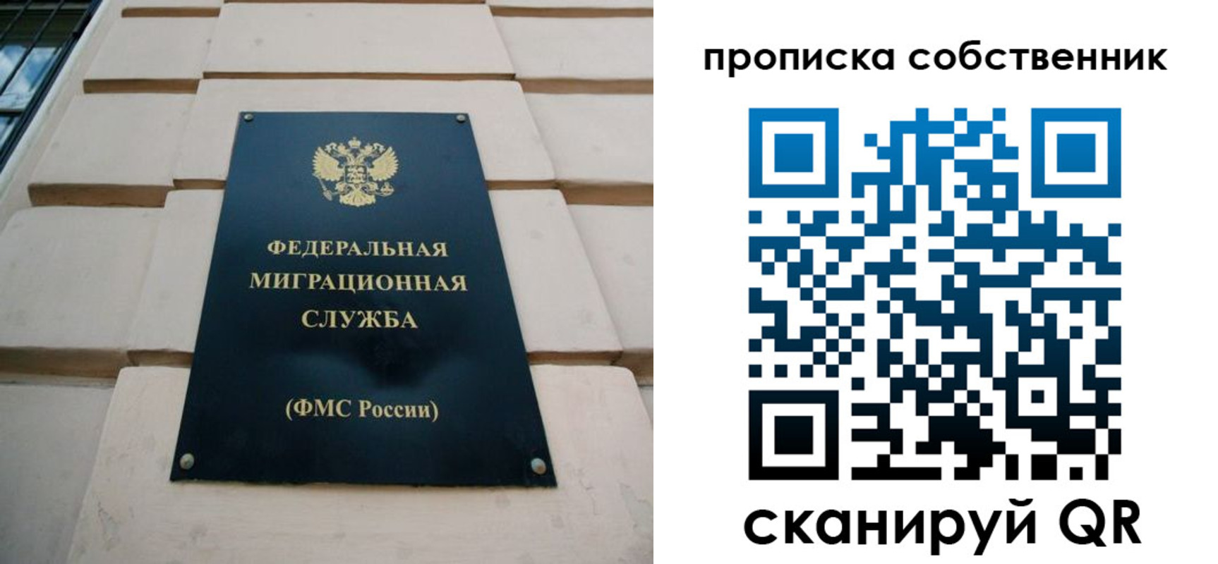 прописка законно в Черноголовке